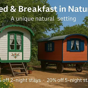 ** Bed & Breakfast Mammaloe Aruba